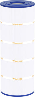 Pool Filter Compatible with C1200, cx1200re, PA120, C-8412, FC-1293, Clearwater II 125, Pro Clean 125, 120 sq. ft, 1 Pack