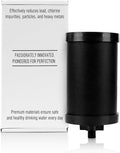 2387 Pro Filter Replacement Compatible with Alexapure – 1 Pack,11Dx5Wx5H Long-Lasting Replacement Element for Clean Drinking Water