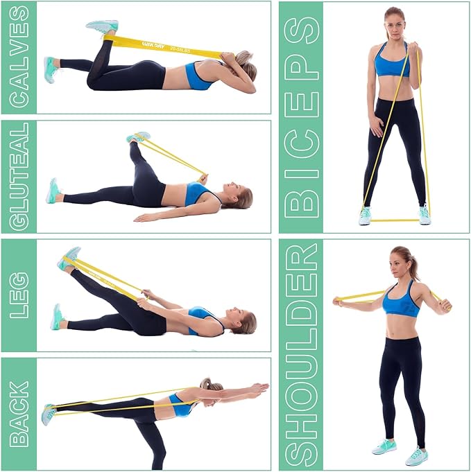 Resistance Bands for Working Out, Exercise Bands, Workout Bands, Pull Up Assistance Bands for Body Stretching Training Physical Therapy Muscle Training for Men & Women-FlexoryFit