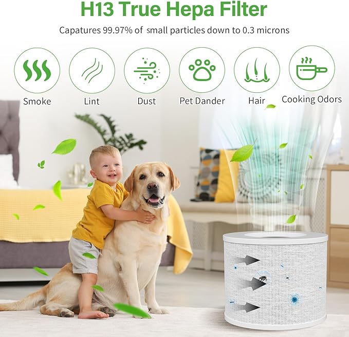 Core Mini Replacement Filter for LEVOIT Air Purifier, 3-in-1 H13 Grade Post Filters Compatible with LEVOIT Air Purifier Core Mini-P, Part No. Core Mini-RF, Mini Filter Replacement 2 Pack