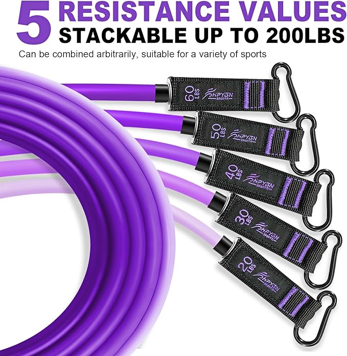 HPYGN Resistance Bands, Exercise Bands with Handles, Fitness Bands, Workout Bands with Door Anchor and Ankle Straps, for Heavy Resistance Training, Physical Therapy, Shape Body, Yoga, Home Workout Set-FlexoryFit