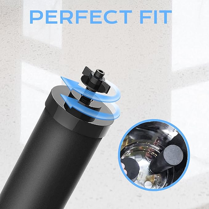 2387 Pro Black Filter, NSF/ANSI 42 Certified Replacement for Alexapure 2387 Filter, Compatible with Alexapure Water Filtration System 5000 Gallon, 2 Pack