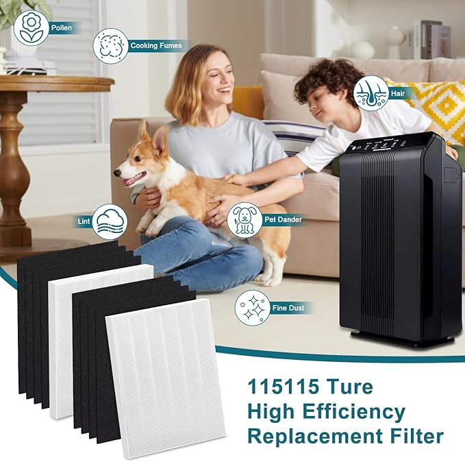 True High Efficiency C535 Replacement 115115 Filter A Compatible with Winix PlasmaWave C535, 5300-2, 6300-2, 5300, 6300, P300, AM90, 9000, 5000, 5000B, C909, 9800, 2 x Filters + 8 x Carbon Pre-Filters