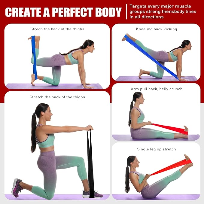 Resistance Bands, Exercise Bands, Physical Therapy Bands for Strength Training, Yoga, Pilates, Stretch Elastic Band with Different Strengths, Workout Bands for Home Gym-FlexoryFit