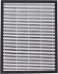 Air Purifier Filter Replacement by Mtlavishness
