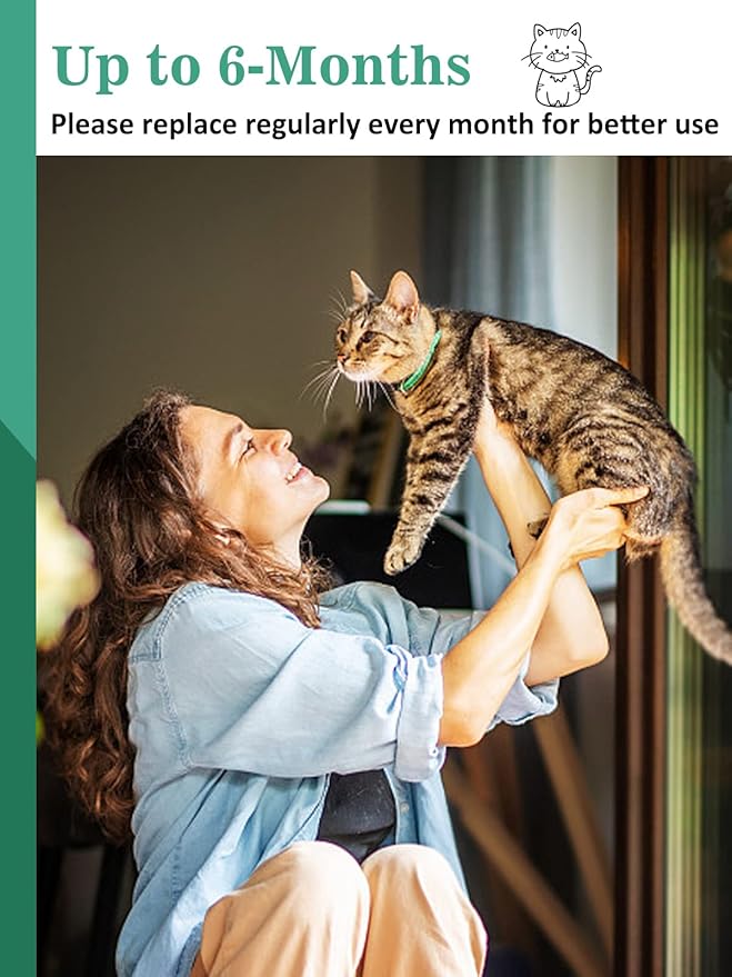 MEWTOGO 6 Pcs Carbon Filters for Cat Litter Box Robot 4 - Thickened and Durable Replacement Filters to Absorb Unpleasant Odors Control Damp from Pets and Keep Home Fresh