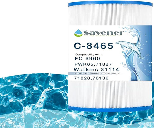 C-8465 Spa Filter Cartridge Replacement for Watkins 31114, Hot Spot Spa Filter, FC-3960, 71827, 71828, 80651, Watkins 65 sq.ft. 1 Pack