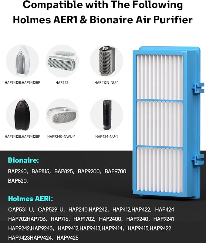 Aer1 Filter Replacement for Holmes Air Purifiers, 2 True HEPA Filters + 4 Carbon Booster Filters, HAPF30AT
