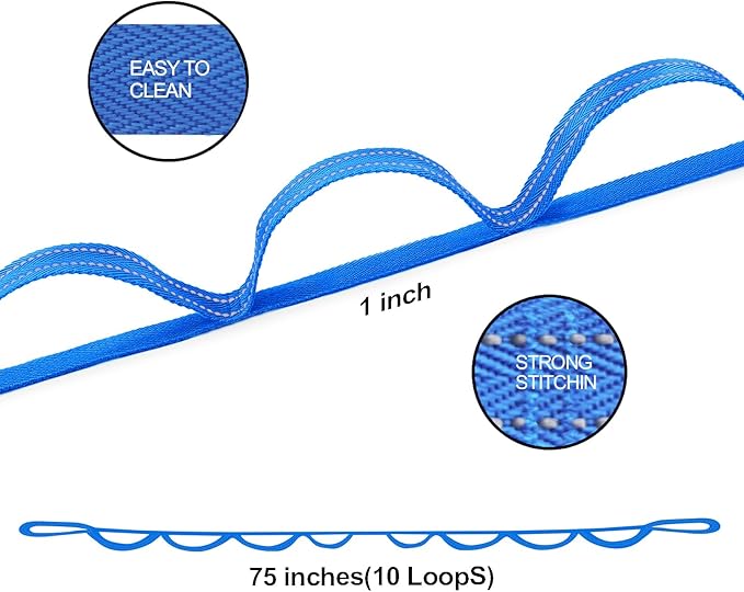 Premium Durable Stretch Straps with Loops, Stretching Strap for Physical Therapy, Multi-Loop Yoga Strap Fitness Exercise Strap for Yoga, Pilates, Dance, Flexibility&Exercise-FlexoryFit