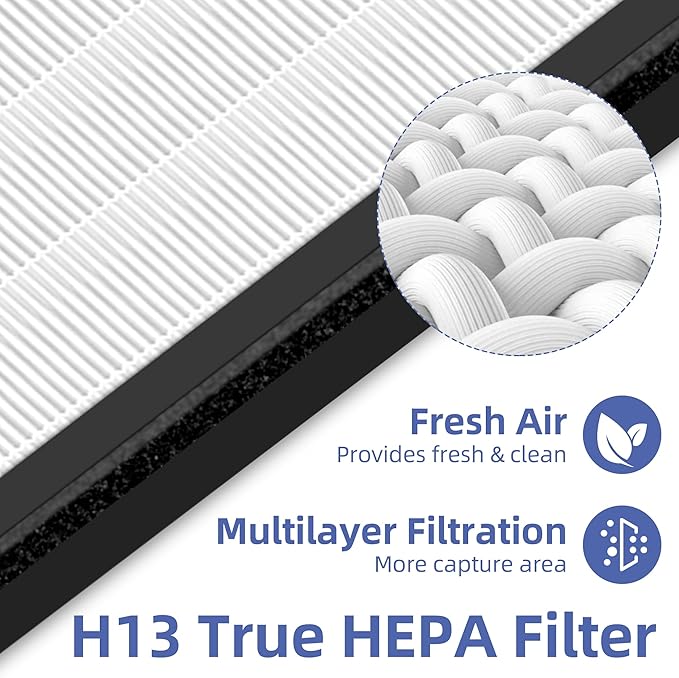 HAP603 Replacement Filter for ECOSELF HAP603 Air Purifier,3-in-1 H13 True HEPA High-Efficiency Activated Carbon Filter,2 Pack