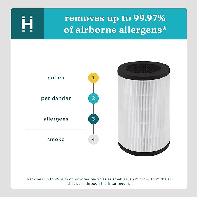 HoMedics TotalClean 3-in-1 True HEPA Filter Replacement (Pack of 2)