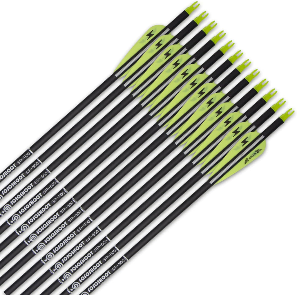 31inch Carbon Arrow Archery Targeting Practice Hunting Arrows for Compound & Recurve Bow with Removable Tips(Pack of 12)