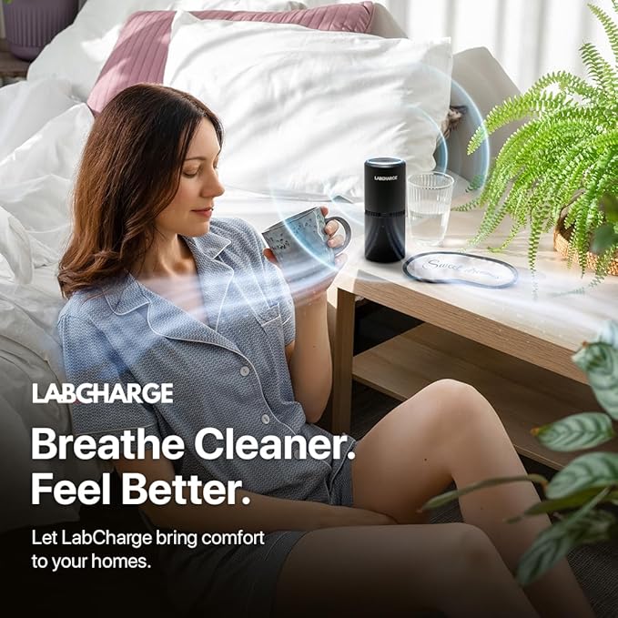 Small Ionic Air Purifier for Home & Bedroom – Silent HEPA Filter – Covers 250 Sq Ft - Free Cleaner for Pets, Hair, Smoke, Dust, Odors & Dander – Compact & Black Design - Pack of 4