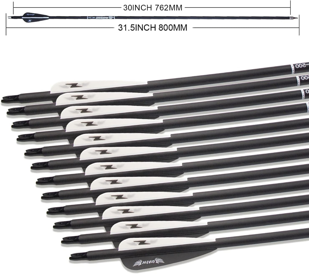 31inch Carbon Arrow Archery Targeting Practice Hunting Arrows for Compound & Recurve Bow with Removable Tips(Pack of 12)