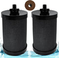2387 Pro Replacement Water Filter Compatible with Alexapure Systems - 2 Filters + Backwash Unit, Reduces Lead, Chlorine, 5000 Gallon Capacity