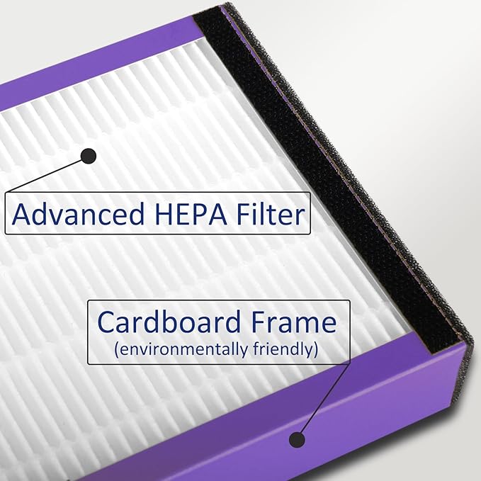 FLT4850PT H13 True HEPA Replacement filter B, compatible with Guardian AC4850PT AC4825 AC4900 CDAP4500AC4300, Pack of 2 HEPA Filter and 6 Carbon Pre-Filters
