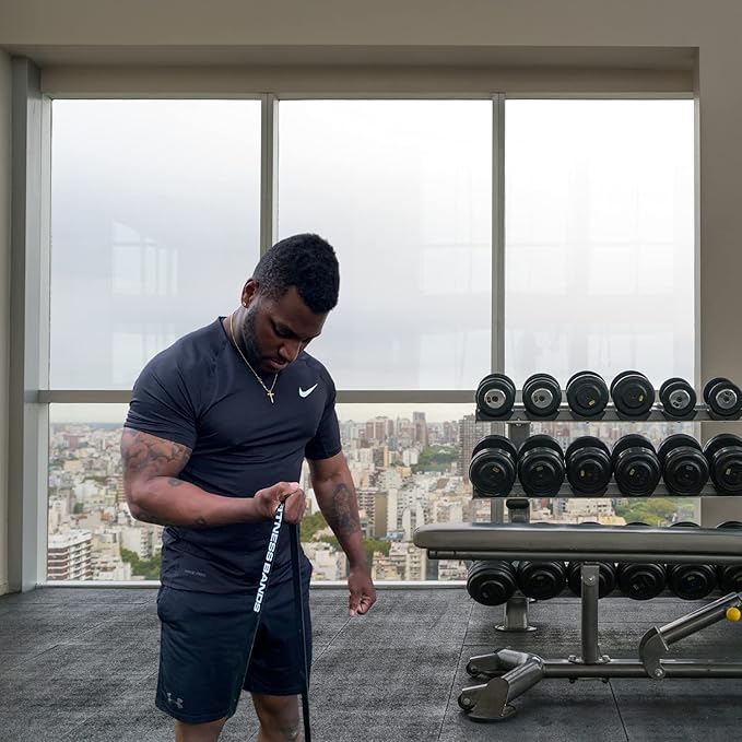 Functional Fitness Pull Up Assist Resistance Bands | Heavy Duty Exercise Bands for Powerlifting, Mobility, and Stretching | Travel Friendly Resistance Bands for Workout-FlexoryFit