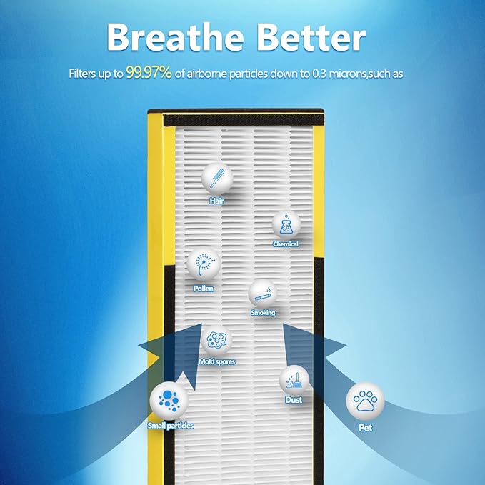 6 Packs FLT4825 H13 True HEPA Replacement Filter B Compatible with Technologies Air Cleaner Purifier AC4300BPTCA, CDAP4500BCA, AC4825, AC4850PT, AC4820, AP2200CA