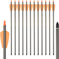 Crossbow Bolts 15 Inch Archery Carbon Crossbow Arrows with Moon Nocks Hunting Archery Arrows（12pcs