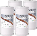 PUREPLUS 10" x 4.5" Whole House Iron Reducing Sediment Filter Compound by PUREPLUS