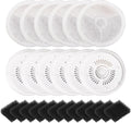 12-Pack Eversweet Cat Water Fountain Filters Combo - Compatible with Solo 2, Solo SE, 3 Pro, 2S, 3.0 & Series 3 - Includes 12 Carbon Filters & 12 Pre-Filter Sponges for Pump