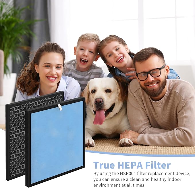 HSP001 Filter Replacements, 2 Pack