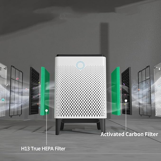 2 Pack Replacement Filter for Coway AIRMEGA Max2 300/300S Air Purifier, 2-in-1 H13 True HEPA High Efficiency with Activated Carbon