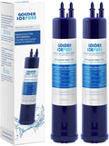 GOLDEN ICEPURE RFC6600A Replacement for 4396841, 4396710, Everydrop® Filter 3, EDR3RXD1, Kenmore 46-9083, 46-9030, Refrigerator Water Filter 2 Pack