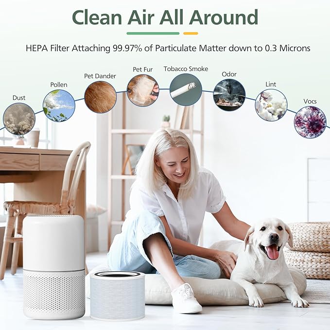 isinlive Core 300 Smoke Remover Replacement Filter for LEVOIT Core 300 Core300-P Core 300S Core 300S/P VortexAir Air Purifier, Core 300-RF, 4-in-1 HEPA Activated Carbon, 2 Pack, Blue, Core 300-P