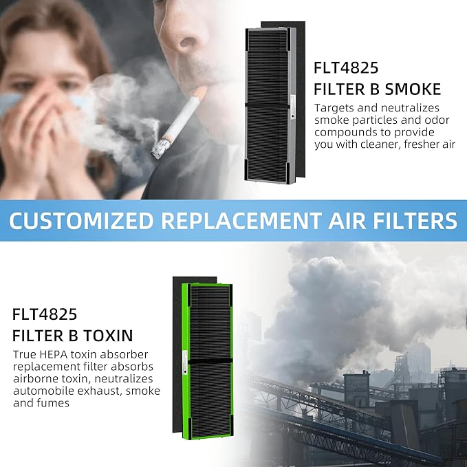 APPLIANCEMATES FLT4825 Filter B Smoke Clear HEPA Replacement for Germ Guardian AC4825 AC4300 AC4800 AC4900 AC4850,2 True HEPA Filters & 8 Activated Carbon Pre-Filters,FLT4825SM,Gray
