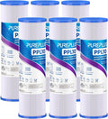 PUREPLUS 5 Micron 10"x2.5" Whole House Pleated Sediment Filter by PUREPLUS