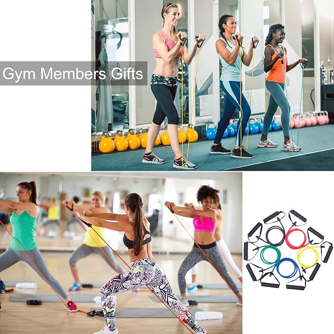 15 Pcs Resistance Bands with Handles for Home Workouts, Exercise Bands Set for Physical Therapy, Strength Training & Fitness for Women and Men-FlexoryFit