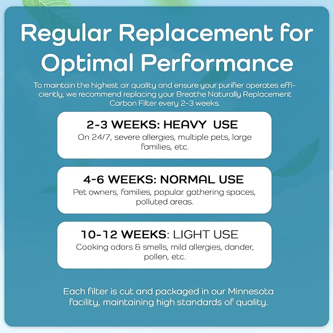 Breathe Naturally Replacement Filters Compatible with Winix C535, Plasmawave 5300, 6300 and Aeramax 300/290 Air Purifiers - True HEPA Filters for Home Purifiers - 12.6" x 16.3" x 1.25" (1 HEPA Filter)
