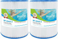 C-8465 Spa Filter Cartridge Replacement Compatible with Watkins 31114, Pleatco PWK65, Filbur FC-3960, 71827, 71828, Tiger River Spa Filter, Watkins 65 Sq.Ft Hot Tub, 2 Pack