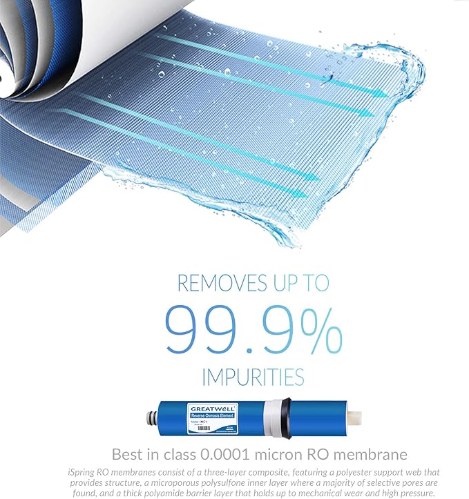 iSpring F19D75 2-Year DeIonization Replacement Filter Set Fit 75 GPD 6-Stage De-Ionization Reverse Osmosis Water Filter System for Aquarium, 2.5" x 10", 19-Piece