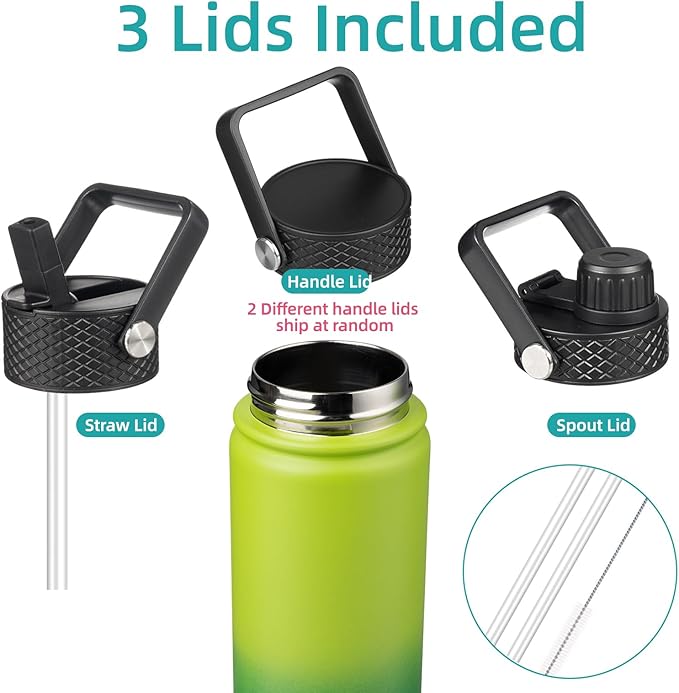 18 oz Insulated Water Bottle Stainless Steel Sport Bottles with 3 Lids,Bamboo Grove-FlexoryFit
