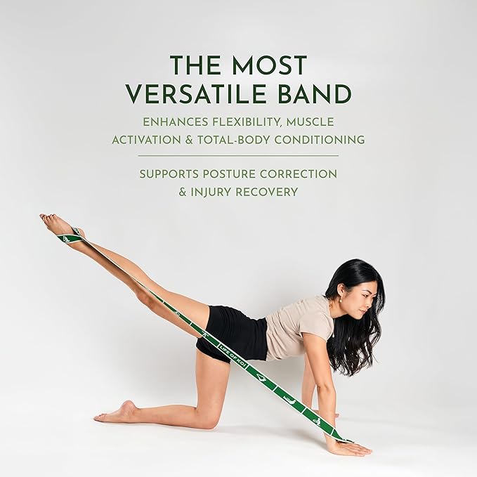 Stretching Strap Set of 3, Stretch Straps with Loops for Yoga, Pilates, Dance, Physical Therapy, 3 Resistance Bands, Stretch Bands for Exercise, Flexibility, Yoga Straps for Stretching-FlexoryFit