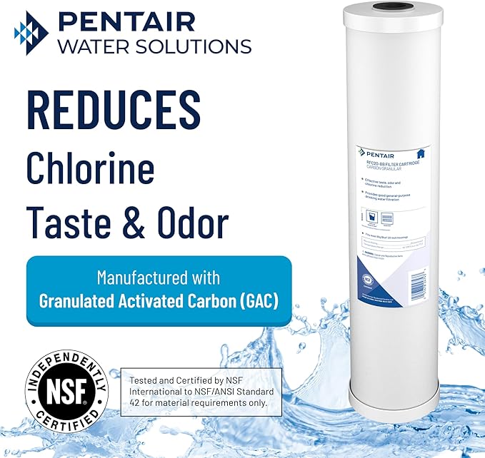 Pentair Pentek RFC-BB Big Blue Carbon Water Filter, 10-Inch, Whole House Heavy Duty Radial Flow Carbon Replacement Cartridge with Granular Activated (GAC), 10" x 4.5", 25 Micron, Pack of 2