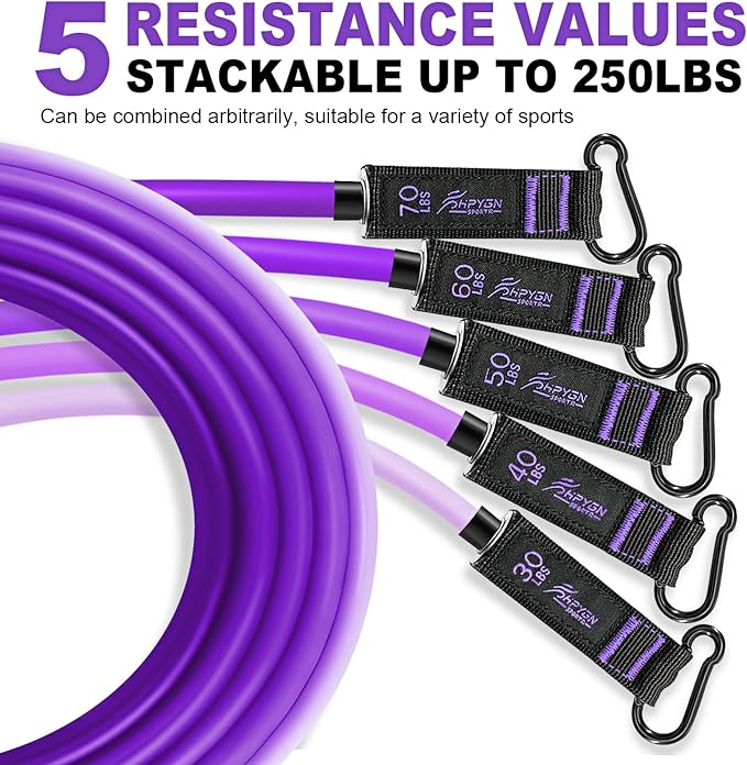 HPYGN Resistance Bands, Exercise Bands with Handles, Fitness Bands, Workout Bands with Door Anchor and Ankle Straps, for Heavy Resistance Training, Physical Therapy, Shape Body, Yoga, Home Workout Set-FlexoryFit