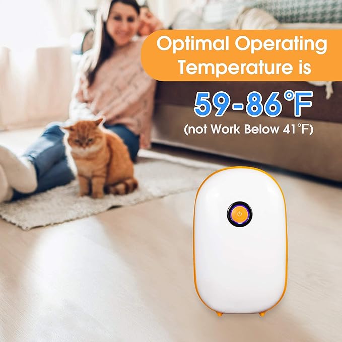 Dehumidifier for Home 37 OZ(1100ml) Water Tank with Auto Shut Off,430 Sq.ft Mini Small Portable Quiet Dehumidifier for Closet Basement Bedroom Bathroom Garage Wardrobe RV
