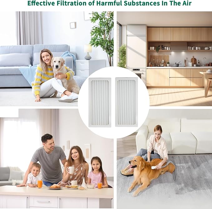 990051000 Replacement True HEPA Filter Compatible with Hamilton Beach TrueAir 04383 04384 04385 04386 Compact Pet Air Purifiers,H13 True HEPA filter. 2-Pack.