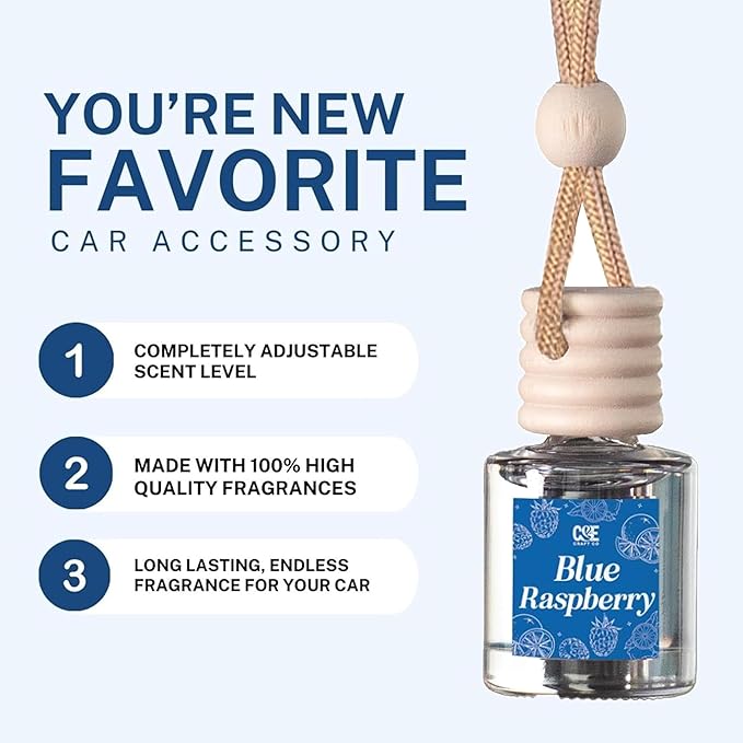 CE Craft Hanging Car Air Freshener – Fragrance Oil Diffuser with Essential Oils – Long-Lasting Aromatherapy Scents for Automobiles – 4 Pack, Summer