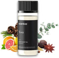 Fierce-Inspired Diffuser Oil - Scentia You Fragrance Oil Perfume Dupe - 50mL, 1.69 Fl oz Diﬀusers - A & F Inspired Natural Essential Scented Oil - Best for Aromatherapy, SPA and Home, Mothers Day Gift