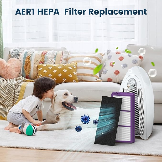 Colorfullfe Performance Plus Filter for Holmes AER1 True Filter, Replacement HAPF300AP-U4, 4 Filter and 8 Carbon Filters