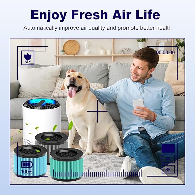MK01 & MK06 True HEPA Filter Replacement for MK01 MK06, TZ-K1 and DH-JH01 Air Purifier, Smoke Remover Version, Grey, 3 Pack