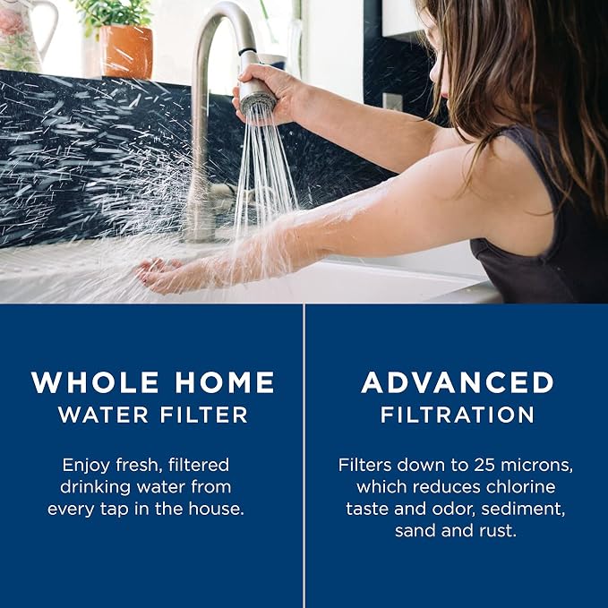 GE FXHTC Whole House Water Filter, Replacement - Image 4