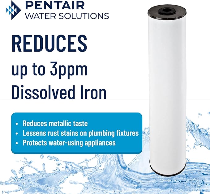 Pentair Pentek RFFE20-BB Big Blue Water Filter, 20-Inch, Whole House Radial Flow Iron Reduction Replacement Cartridge, 20" x 4.5", Pack of 2
