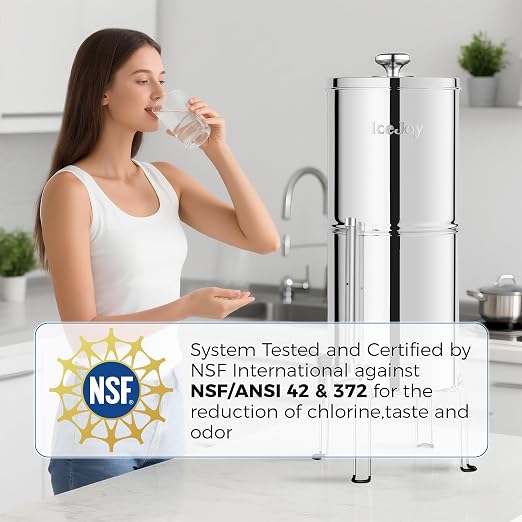 IceJoy Ultra-Filtration Gravity Water Filter System, Stainless Steel Countertop - Image 2