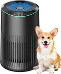 Air Purifiers for Bedroom Home, Air Purifier for Smoke Odors with Fragrance Sponge, Small Air Purifier with Sleep Mode for Bedroom Office, Blue Night Light, Black, 1 Pack+3 Modes