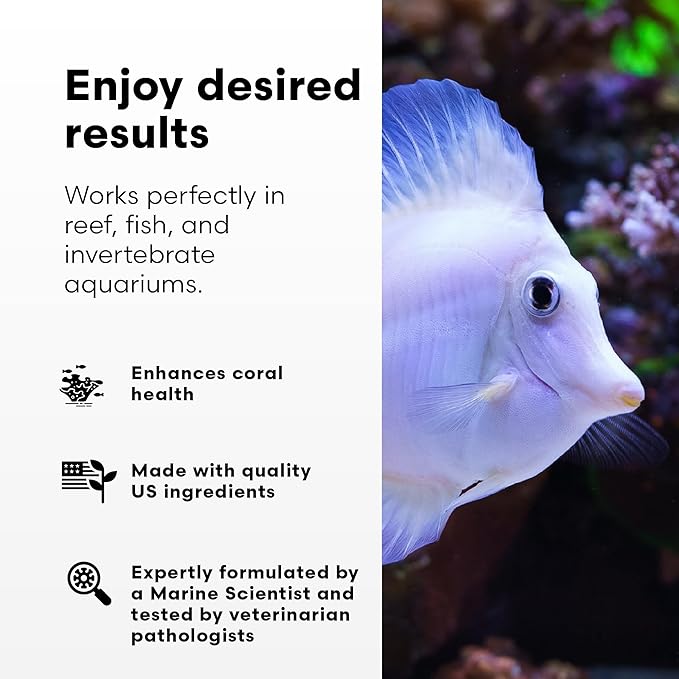 Brightwell Aquatics Reef BioFuel - Organic Carbon Supplement for Marine and Reef Aquariums, Aiding Bacterioplankton Growth That Promotes Rapid Phosphate and Nitrate Reduction, 4 L